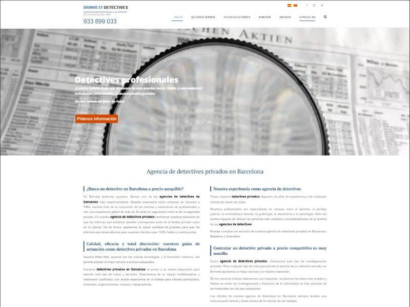 Brinvest Detectives